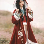 Ancient Chinese Clothing Hanfu Embroidery Cloak