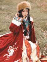 Ancient Chinese Clothing Hanfu Embroidery Cloak - Image 4