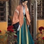 Ancient Chinese Costume Wei Jin style Hanfu Women