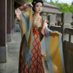 Ancient Chinese Dresses Tang Dynasty Hanfu Cosplay