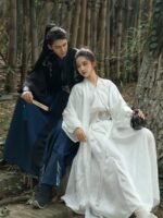 Ancient Chinese Hanfu Dress Embroidery Hanfu