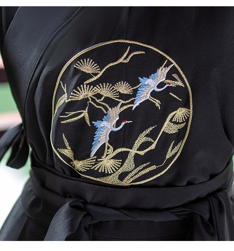 Ancient Chinese Men's Clothing Embroidery Xiake Hanfu