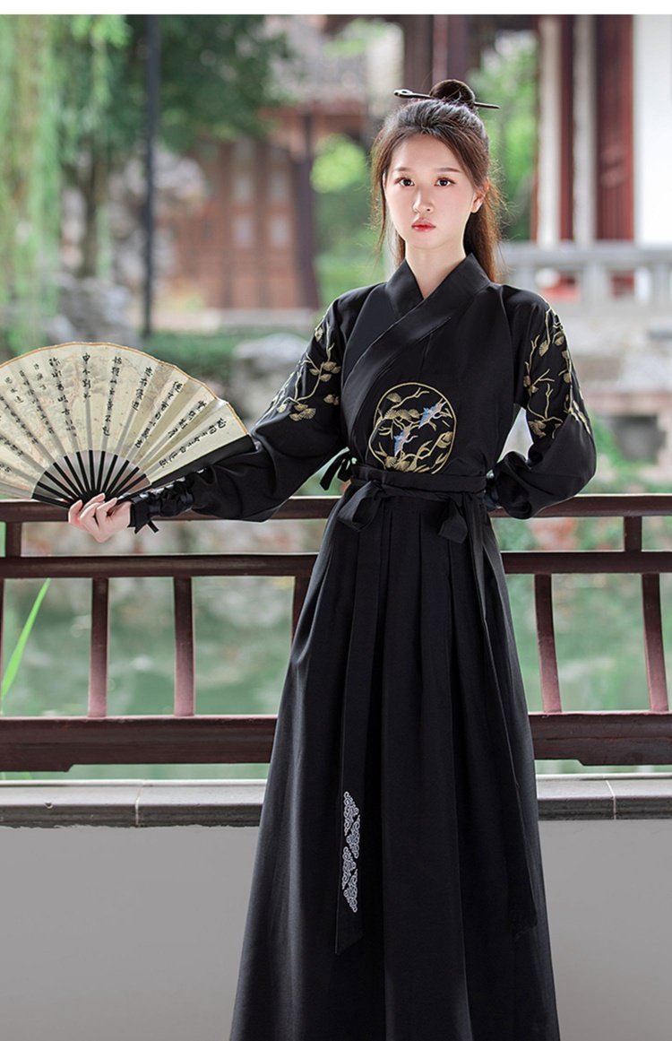 Ancient Chinese Men's Clothing Embroidery Xiake Hanfu