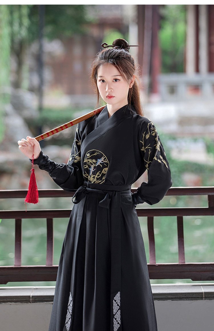 Ancient Chinese Men's Clothing Embroidery Xiake Hanfu