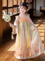 Ancient Embroidery Chinese Dress For Girls
