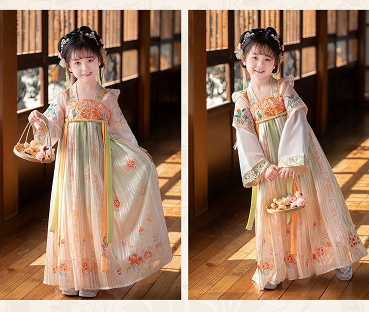 Ancient Embroidery Chinese Dress For Girls