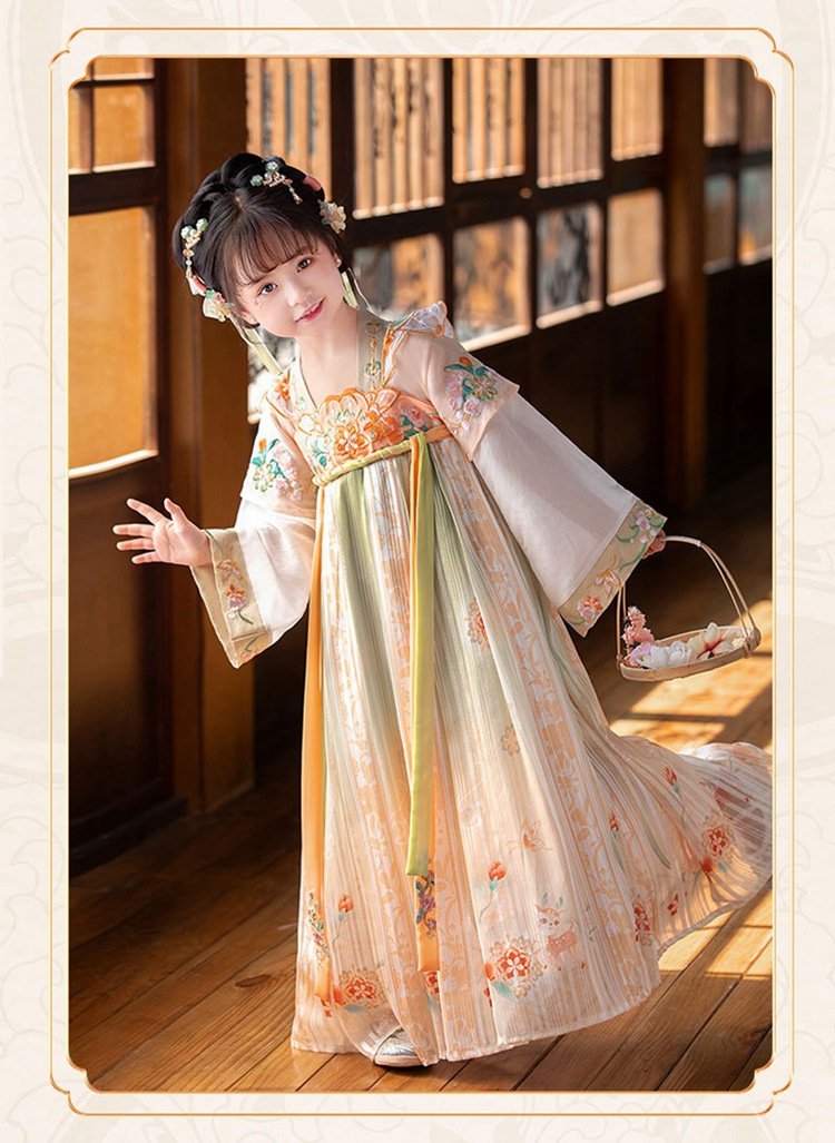 Ancient Embroidery Chinese Dress For Girls