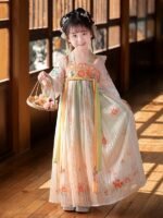 Ancient Embroidery Chinese Dress For Girls - Image 2