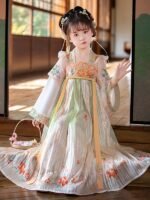 Ancient Embroidery Chinese Dress For Girls - Image 3