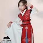 Beautiful Chinese Girl Hanfu Traditional Performance Costume