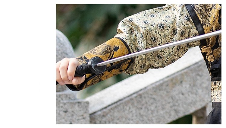Boy Child Hanfu Chinese Flying Fish Clothing