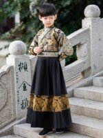 Boy Child Hanfu Chinese Flying Fish Clothing - Image 4