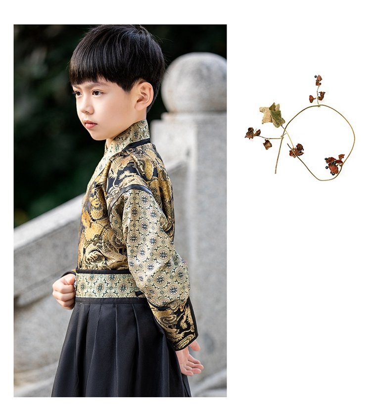 Boy Child Hanfu Chinese Flying Fish Clothing