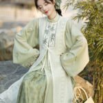 China Traditional Clothes Ming Style Hanfu Dress