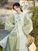 China Traditional Clothes Ming Style Hanfu Dress