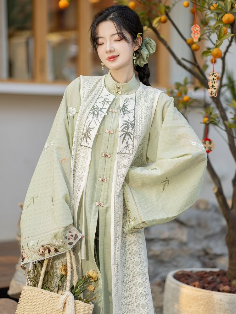 China Traditional Clothes Ming Style Hanfu Dress