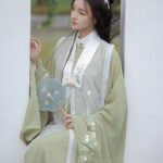 China Traditional Clothing Ming Style Hanfu Dress