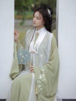 China Traditional Clothing Ming Style Hanfu Dress