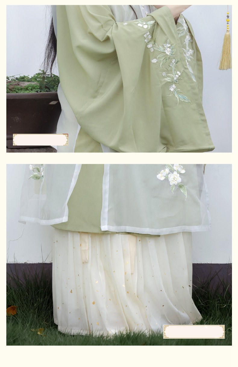 China Traditional Clothing Ming Style Hanfu Dress