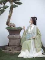China Traditional Clothing Ming Style Hanfu Dress - Image 4