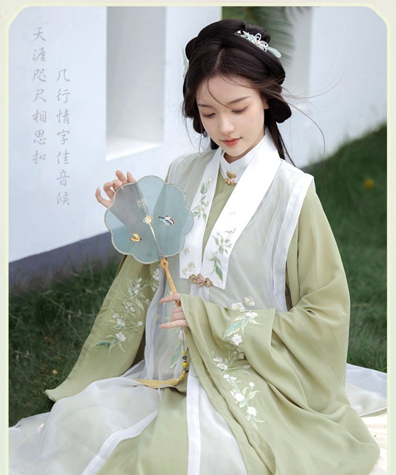 China Traditional Clothing Ming Style Hanfu Dress