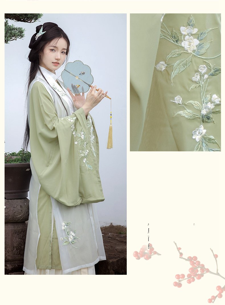 China Traditional Clothing Ming Style Hanfu Dress