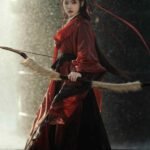 Chinese Ancient Clothes Wuxia Clothing Female