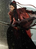 Chinese Ancient Clothes Wuxia Clothing Female - Image 4