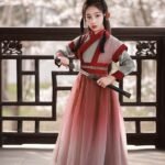 Chinese Ancient Style Clothing Red Hanfu Girl