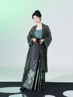 Chinese Clothing Ming Dynasty Hanfu Horse Face Skirt - Image 3