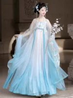 Chinese Cosplay Costumes Blue Hanfu Dress