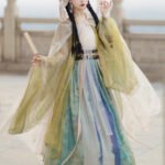 Chinese Dance Costumes Wei Jin style Hanfu Dress