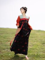 Chinese Hanfu Dress Female Tang Dynasty Dress