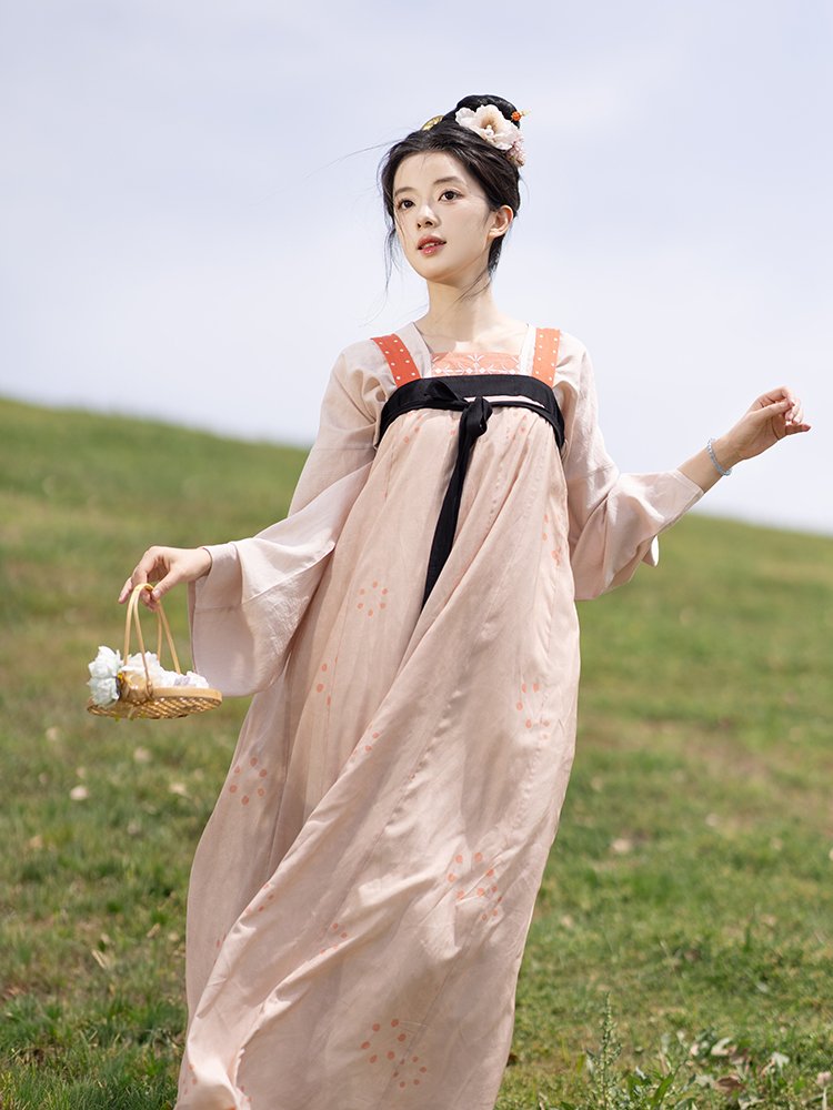 Chinese Hanfu Dress Female Tang Dynasty Dress