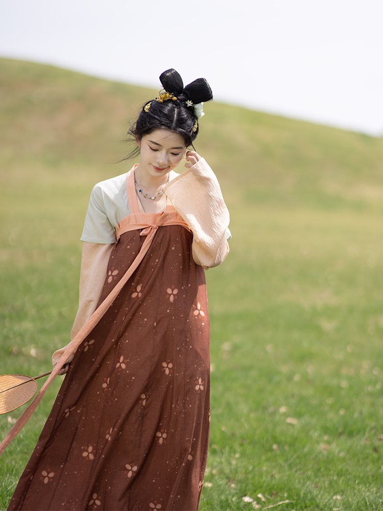 Chinese Hanfu Dress Female Tang Dynasty Dress