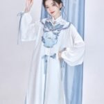 Chinese Hanfu Ming Dynasty Clothes Long Shirt With Dress