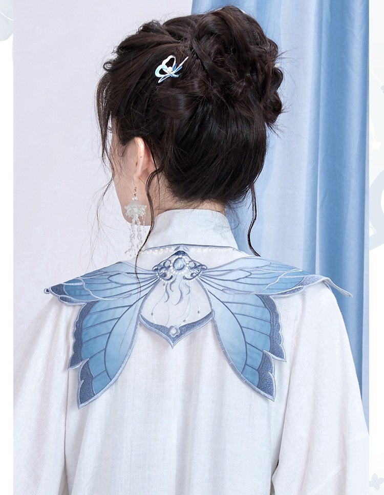 Chinese Hanfu Ming Dynasty Clothes Long Shirt With Dress