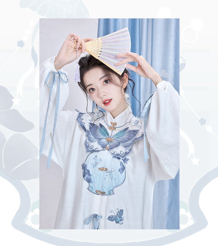 Chinese Hanfu Ming Dynasty Clothes Long Shirt With Dress