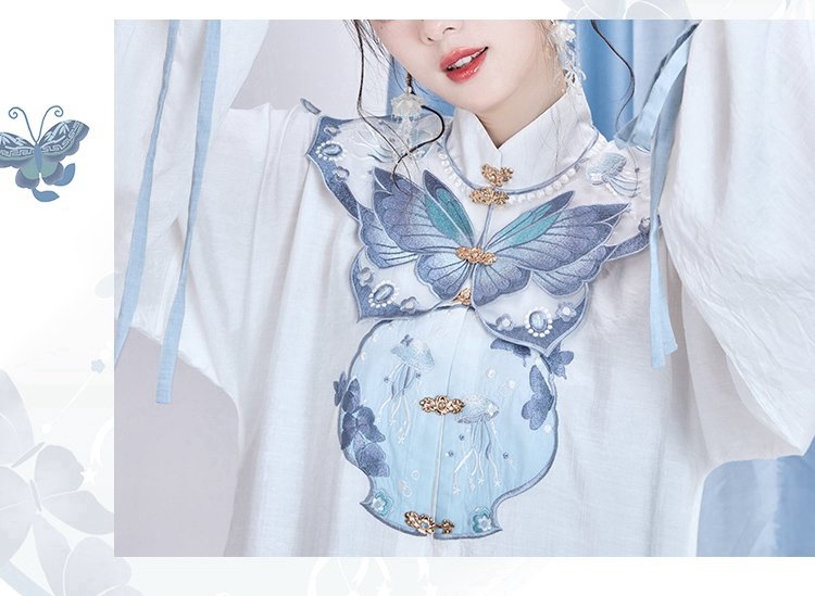 Chinese Hanfu Ming Dynasty Clothes Long Shirt With Dress