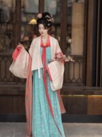 Chinese Hanfu Tang Dynasty Dress Female