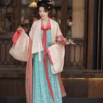 Chinese Hanfu Tang Dynasty Dress Female