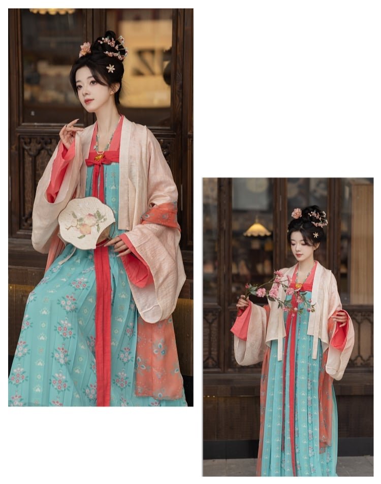 Chinese Hanfu Tang Dynasty Dress Female