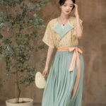 Chinese Hanfu Tang Style Dress Fashion Hanfu