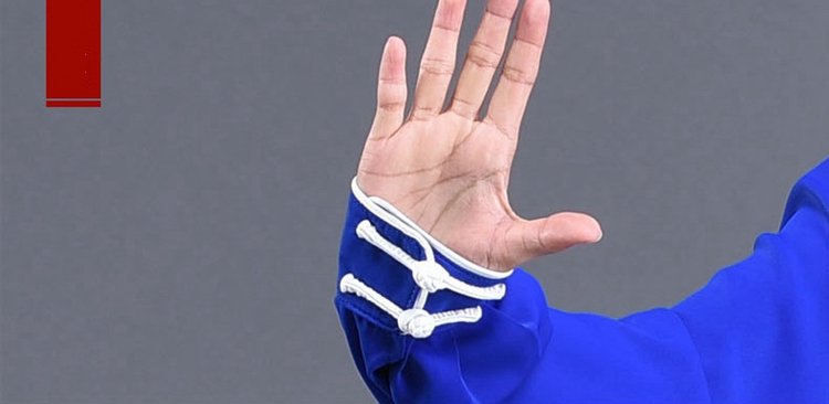 Chinese Kung Fu Clothing Blue Tai Chi Performance Suit Unisex