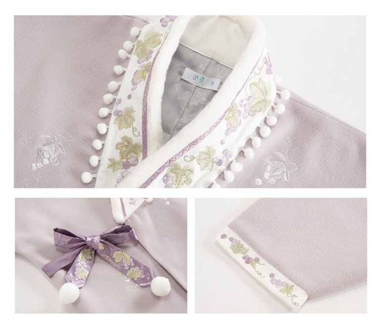 Chinese Ming Style Modern Hanfu Dress Winter