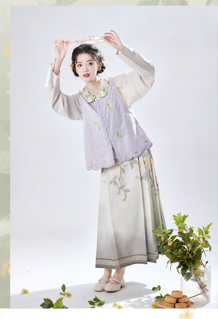 Chinese Modern Hanfu Outfit Modified Hanfu Dress