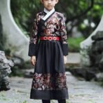 Chinese National Costume Boy Ming Style Flying Fish Costume
