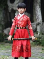 Chinese National Costume Boy Ming Style Flying Fish Costume - Image 2