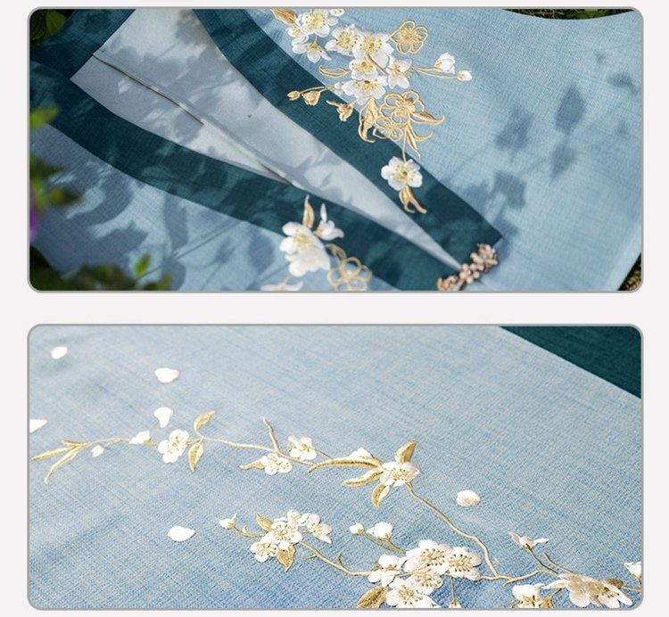 Chinese New Hanfu Embroidered Daily Hanfu Dress