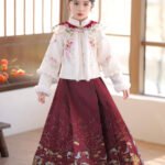 Chinese New Year Dress Ancient Costume Hanfu Dress